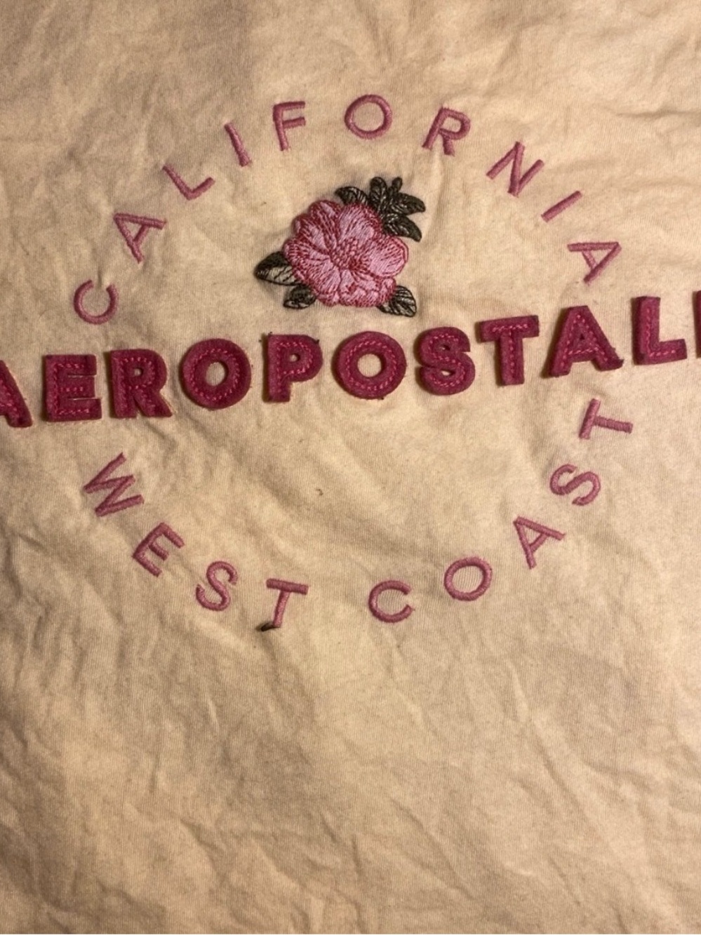 Aeropostale Pink Embroidered Floral Accent Pillow Cover